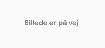 Lisbeth Vestergaard Jørgensen