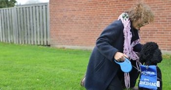 Charlie er Danmarks første servicehund for mennesker med Alzheimers sygdom