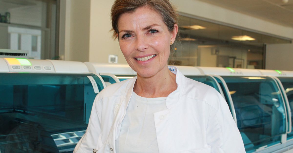 Forskere er blevet klogere på genetikkens rolle i Alzheimers sygdom ...