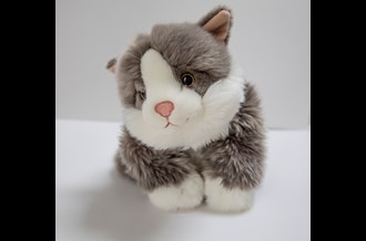 Katten Billy - demenskat